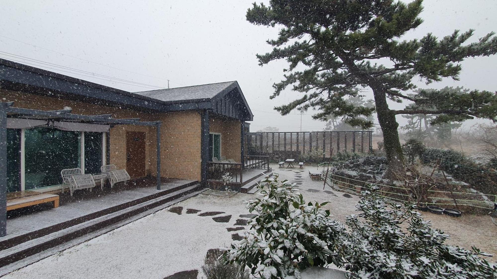 Wind Jeju Cafe & Pension Seogwipo Eksteriør bilde