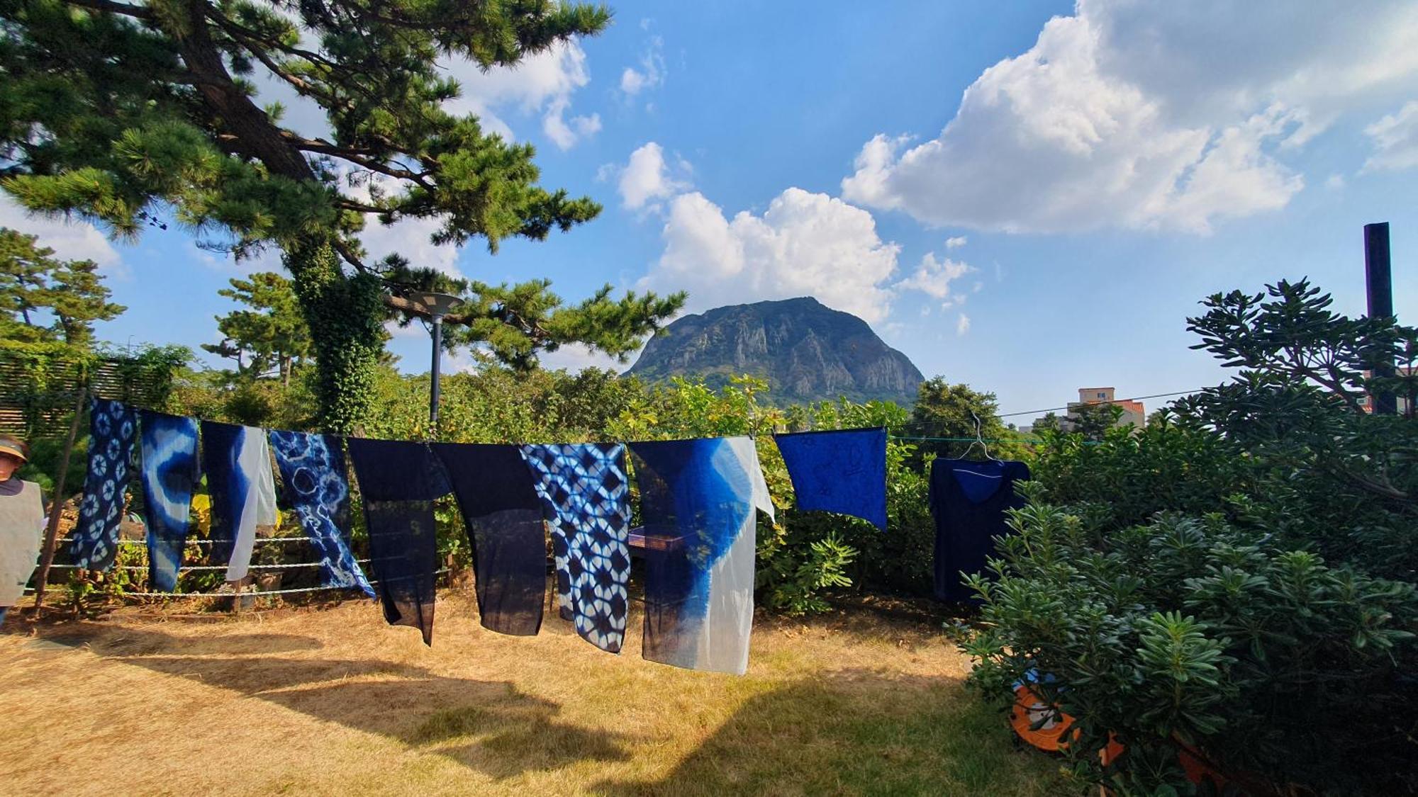 Wind Jeju Cafe & Pension Seogwipo Eksteriør bilde