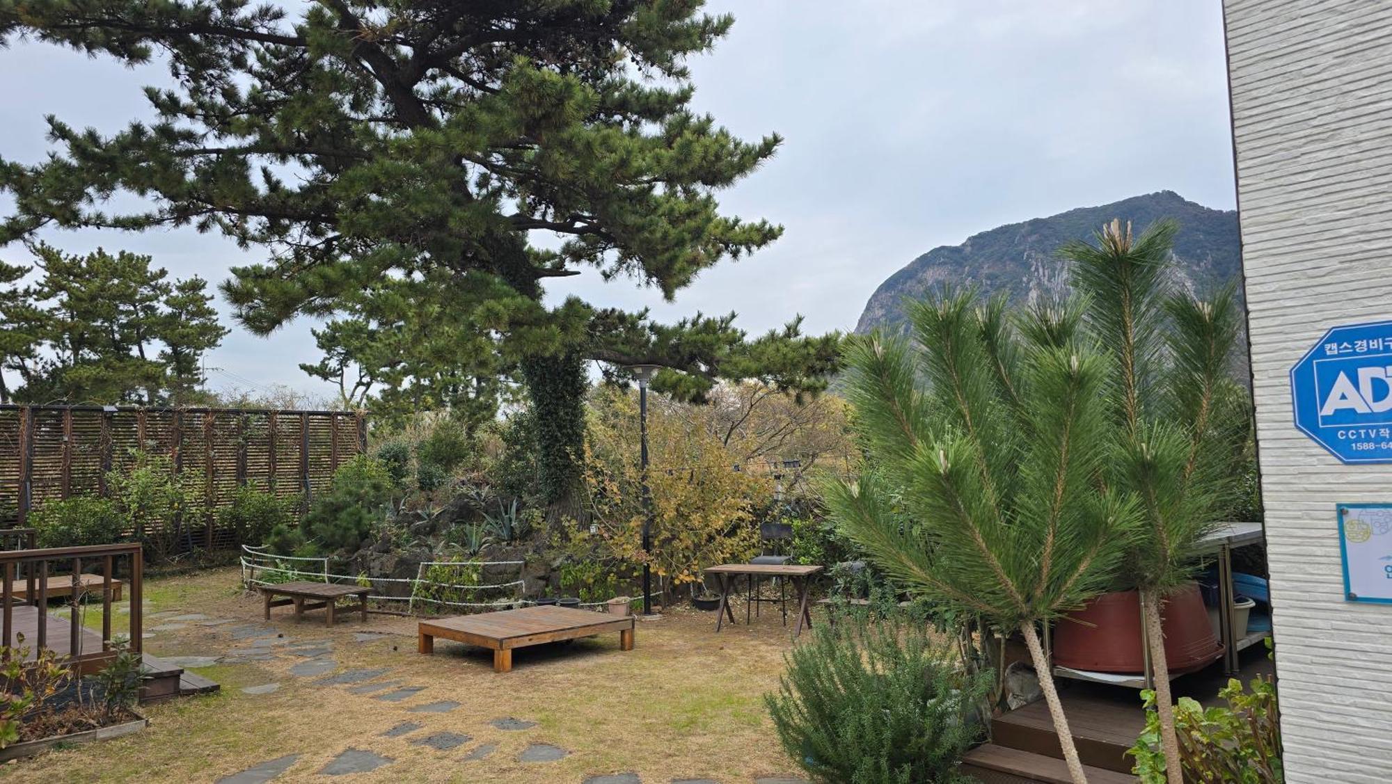 Wind Jeju Cafe & Pension Seogwipo Eksteriør bilde