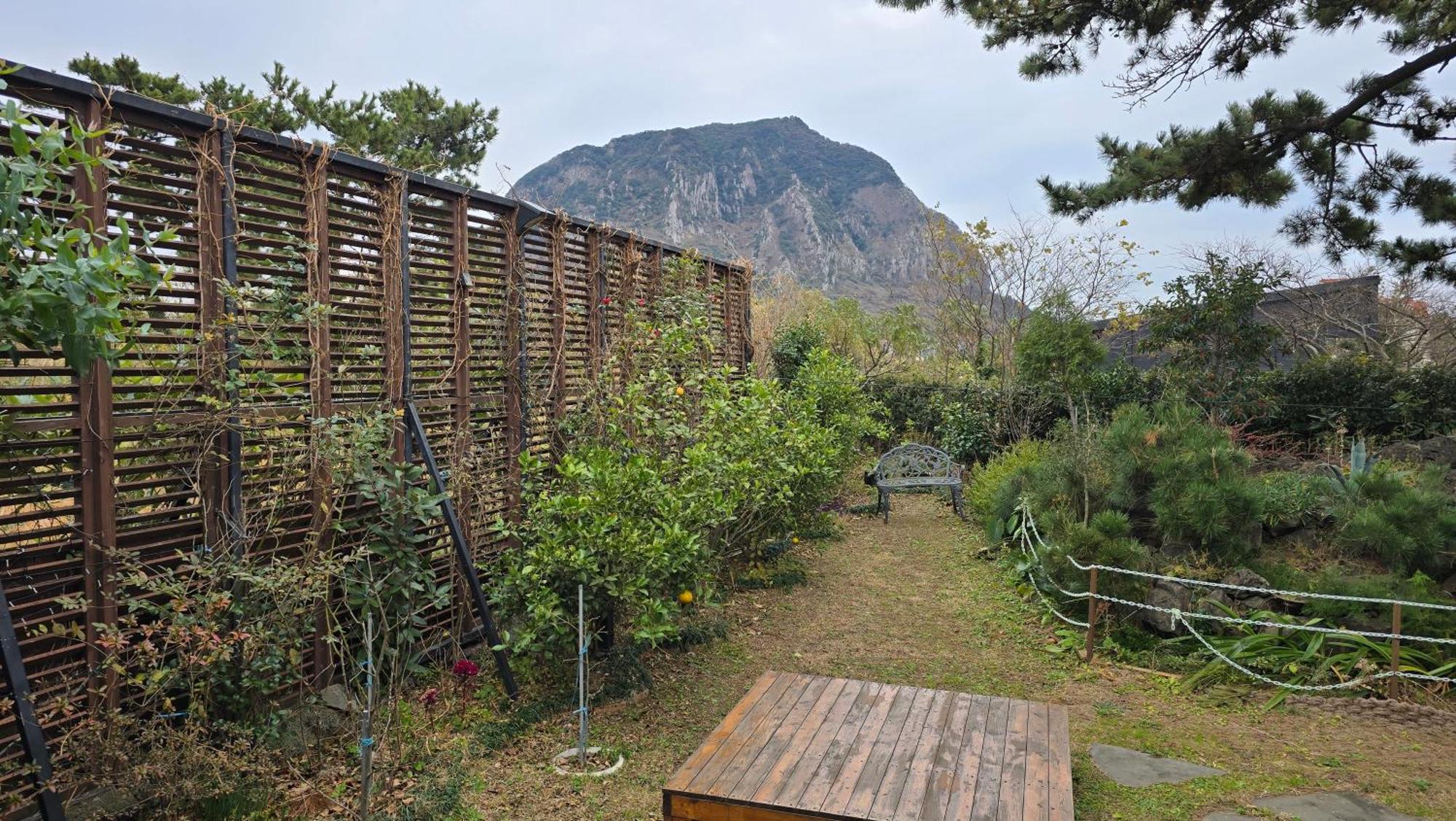 Wind Jeju Cafe & Pension Seogwipo Eksteriør bilde