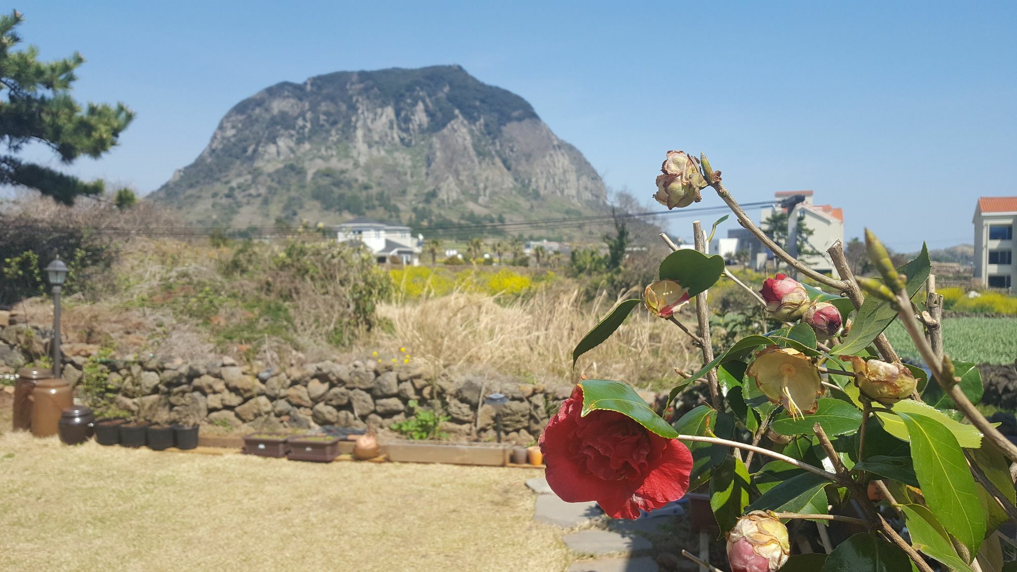 Wind Jeju Cafe & Pension Seogwipo Eksteriør bilde