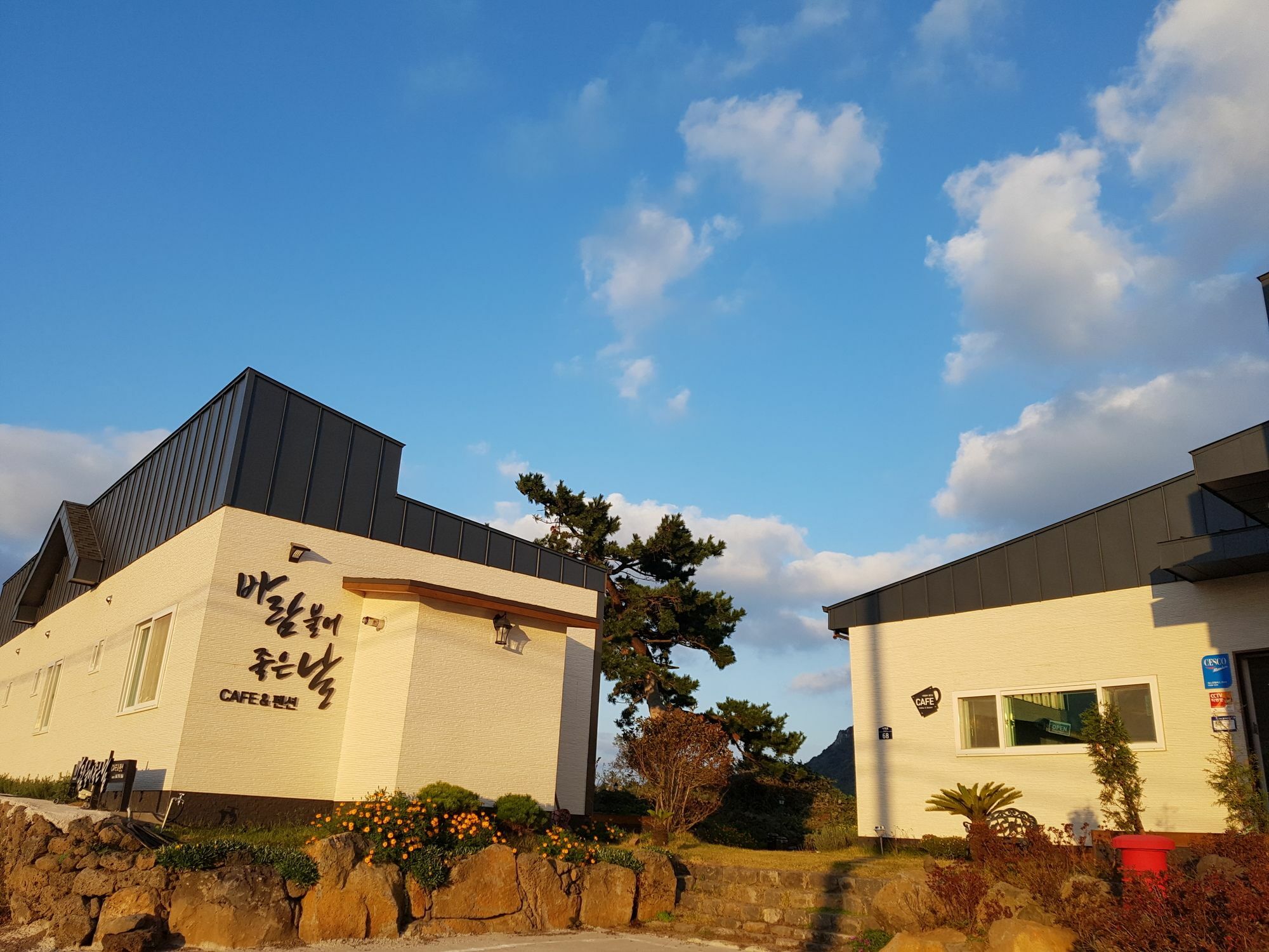 Wind Jeju Cafe & Pension Seogwipo Eksteriør bilde